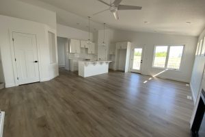 Ascent - Kitchen, Liv Rm